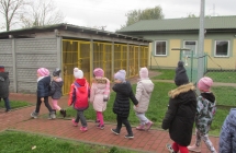 zwierzeta domowe 011