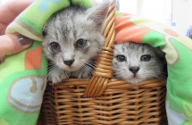 czerwiec z aparatu 044