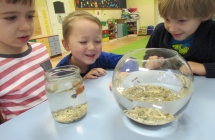 czerwiec z aparatu 006