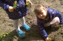 WP_20180425_12_20_02_Pro