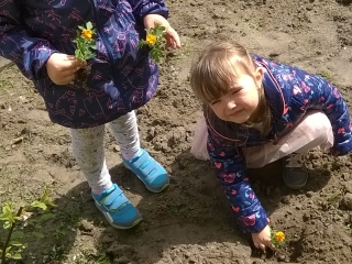 WP_20180425_12_20_02_Pro