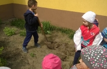 WP_20180425_12_16_41_Pro