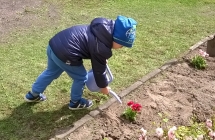 WP_20180425_12_26_01_Pro