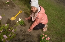 WP_20180425_12_22_51_Pro