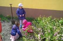 WP_20180425_12_14_56_Pro