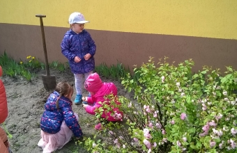 WP_20180425_12_14_56_Pro